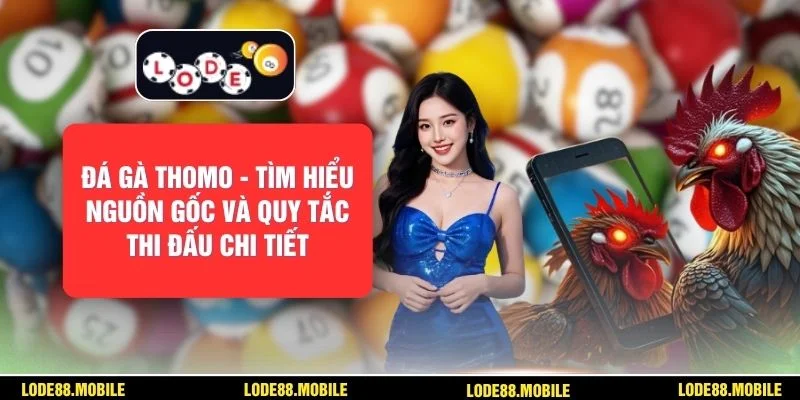 Đá Gà Thomo